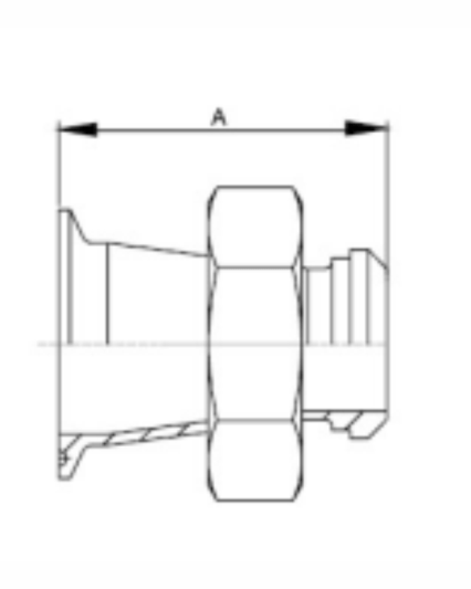 31MPP Clamp X Plain Bevel Seat Concentric Reducer