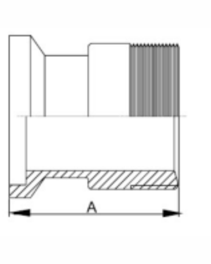 21FI -15II-LINE Female X Male NPT Adapter