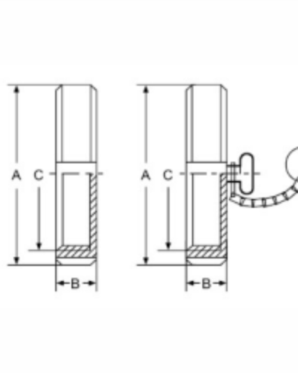 ISO-13RBN Blank nut with boss